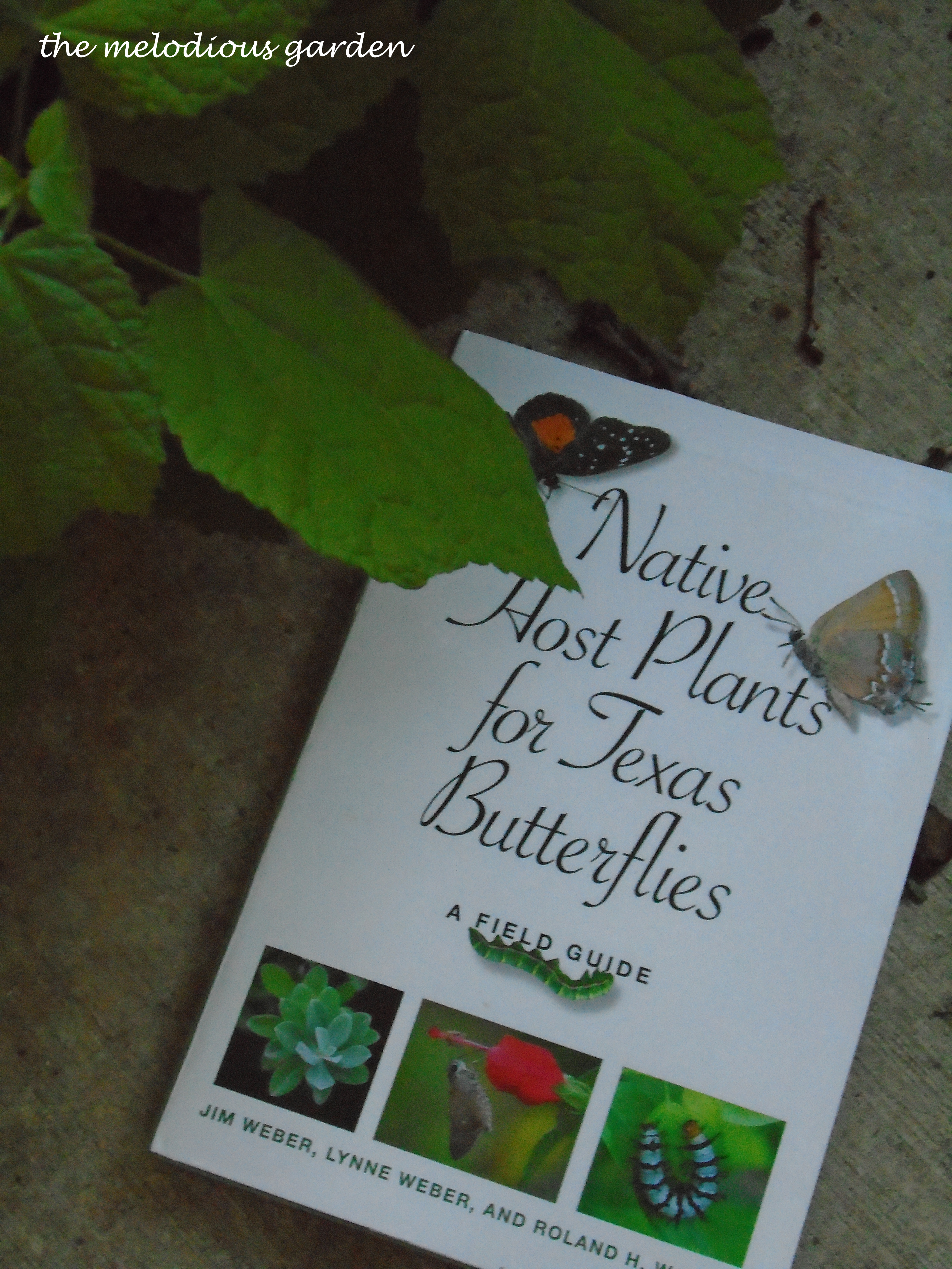 native host plants book